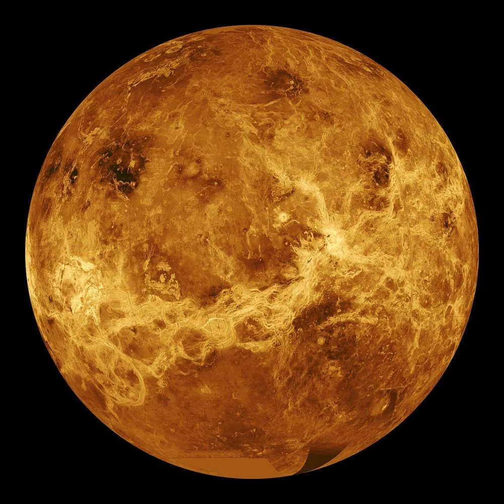 Finding Venus Zone Planets with PLATO Will Show Us How Habitable Planets Evolve
