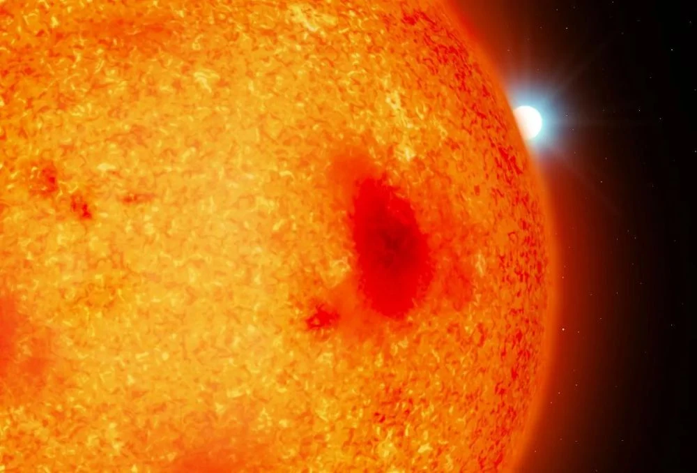 Meet Our Newest Stellar Neighbours That Hid in the Glare of Other Stars